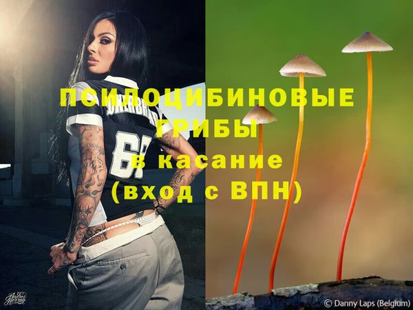 молекула духа Верея